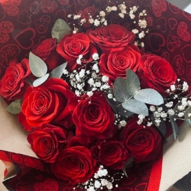 12 Red Roses with Gyp