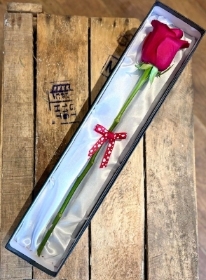 Single Rose In Box